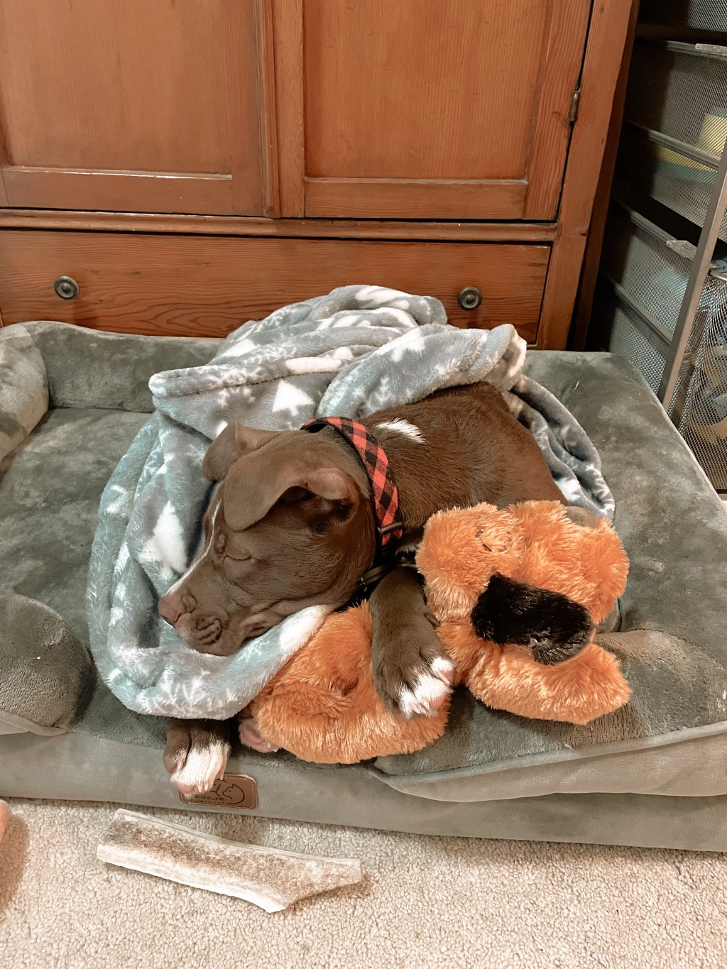 Paw-duct Review: Snuggle&nbsp;Puppy